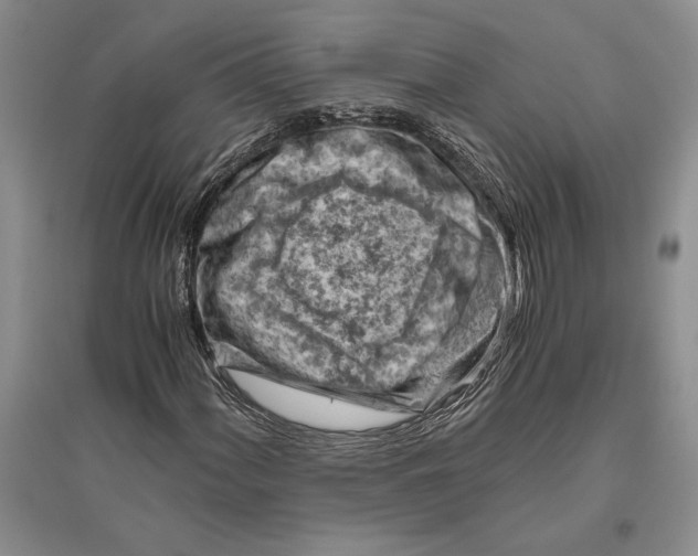 X0000096441060200802211205