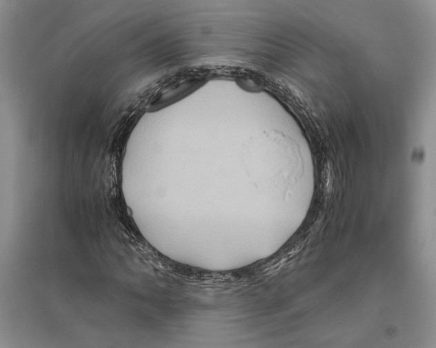 X0000096441062200802211205