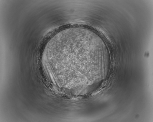 X0000096441063200802211205