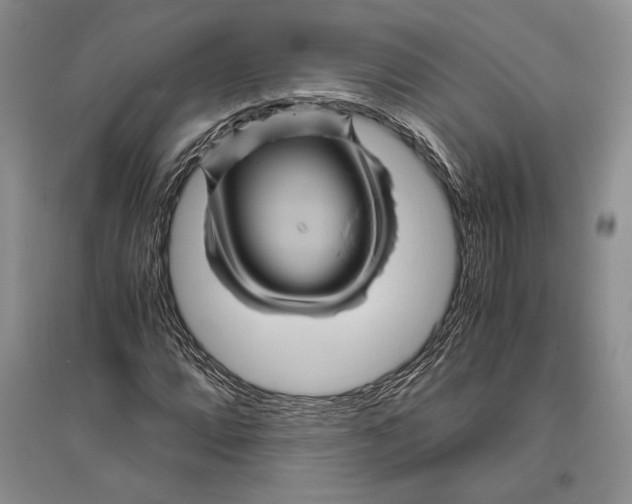 X0000096441064200802211205