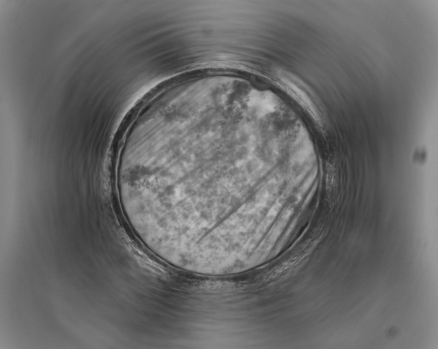 X0000096441068200802211205