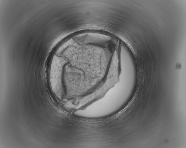 X0000096441070200802211205