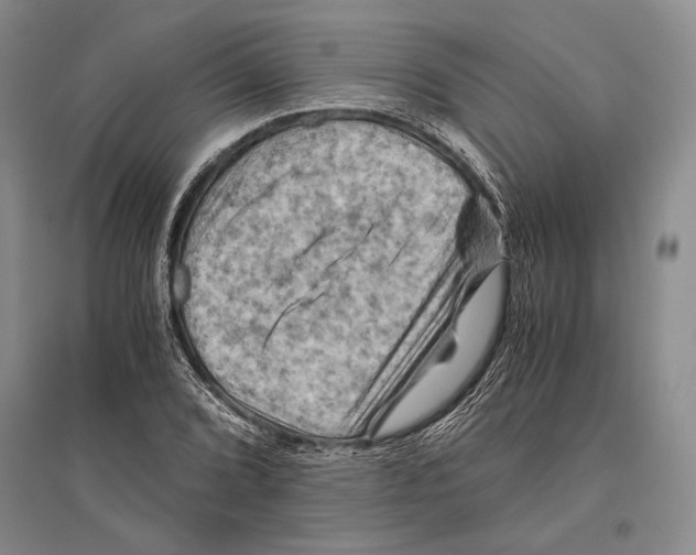 X0000096441072200802211205