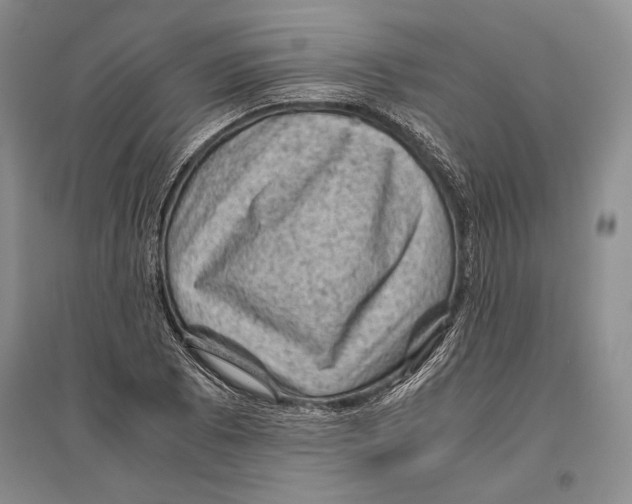 X0000096441073200802211205