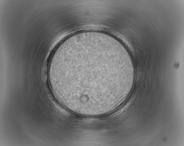 X0000096441075200802211205