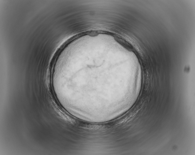 X0000096441076200802211205