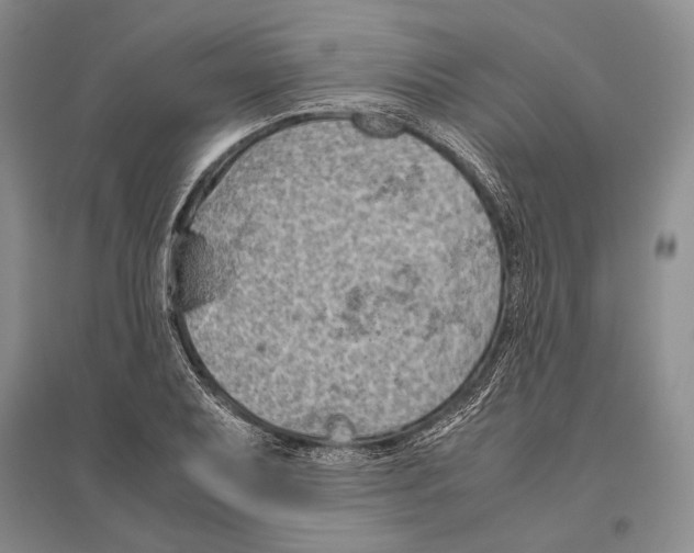 X0000096441079200802211205