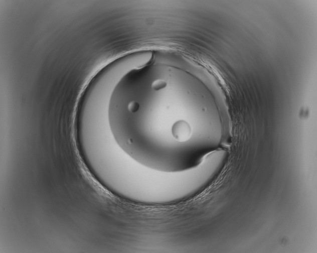 X0000096441080200802211205