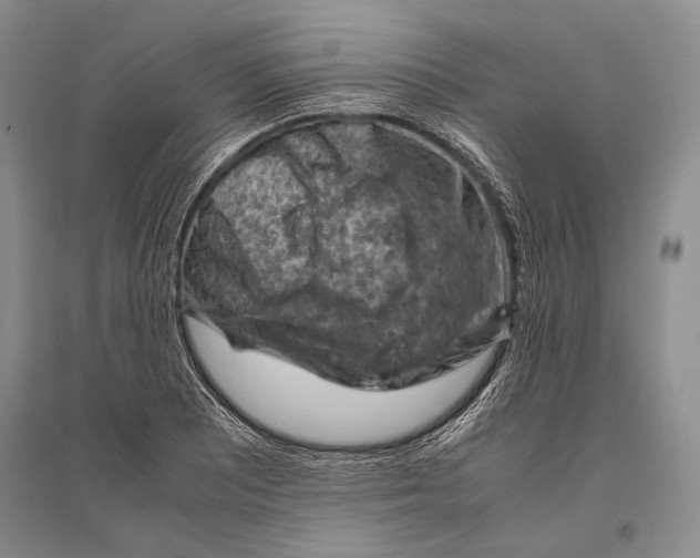 X0000096441081200802211205