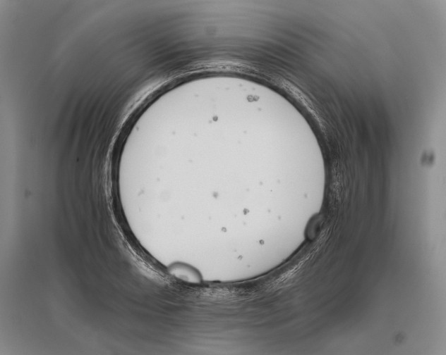 X0000096441082200802211205