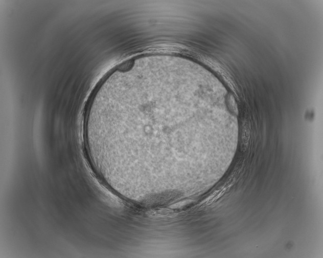 X0000096441083200802211204