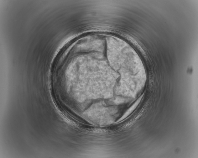 X0000096441085200802211204