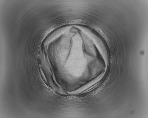 X0000096441089200802211204