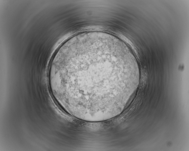 X0000096441090200802211204