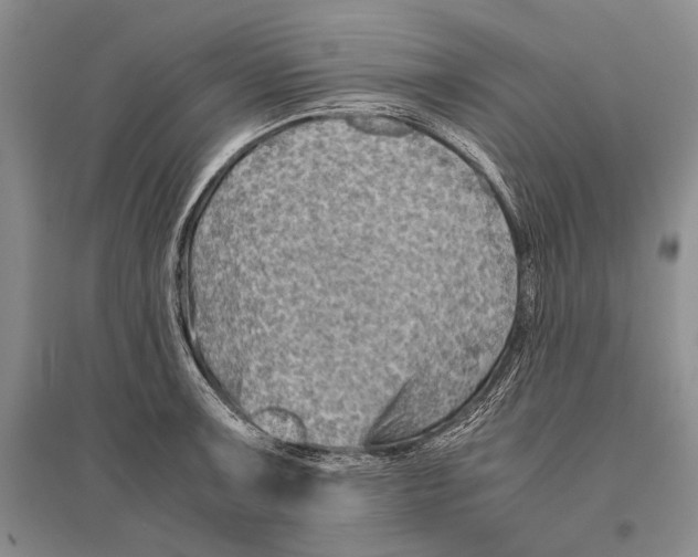 X0000096441091200802211204