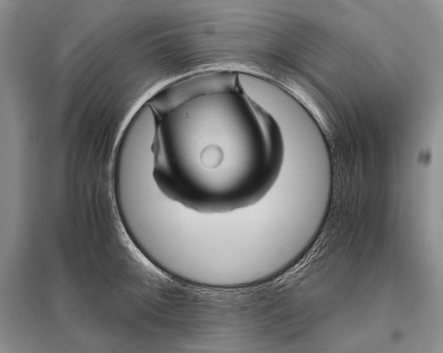 X0000096441092200802211204