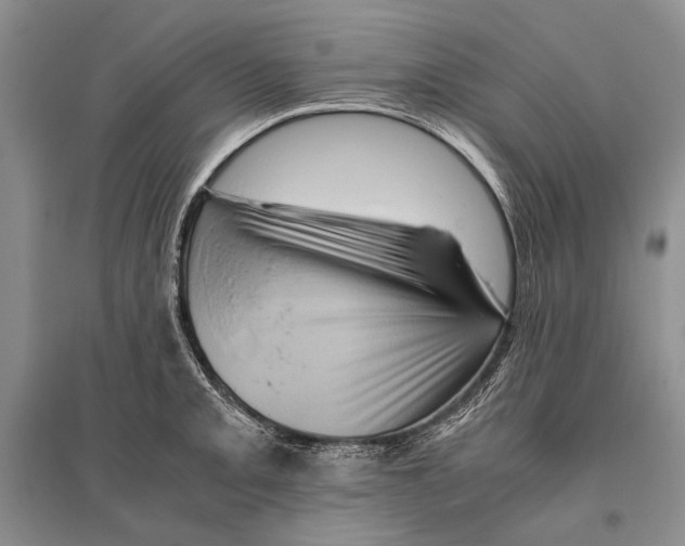 X0000096441093200802211204