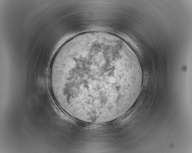 X0000096441094200802211204