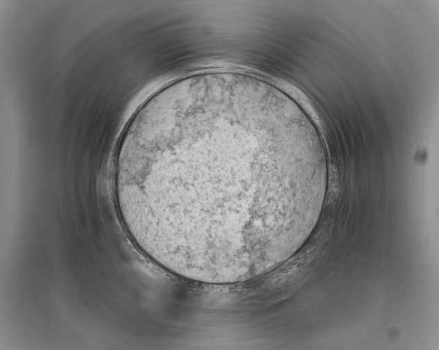 X0000096441098200802211204