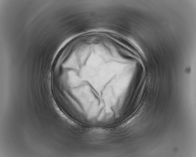 X0000096441100200802211204