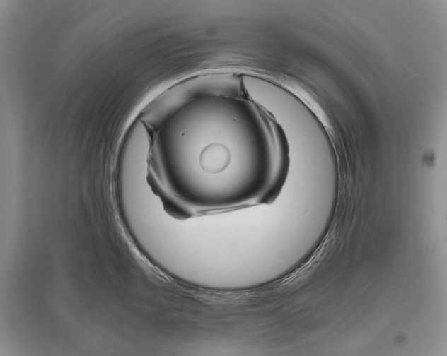 X0000096441101200802211204