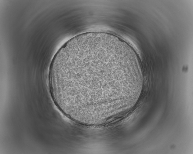 X0000096441103200802211204