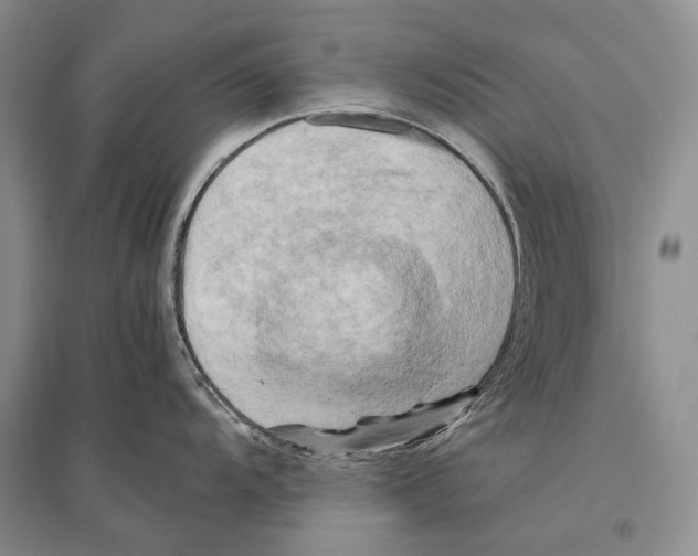 X0000096441104200802211204