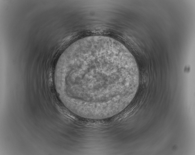 X0000096441106200802211203