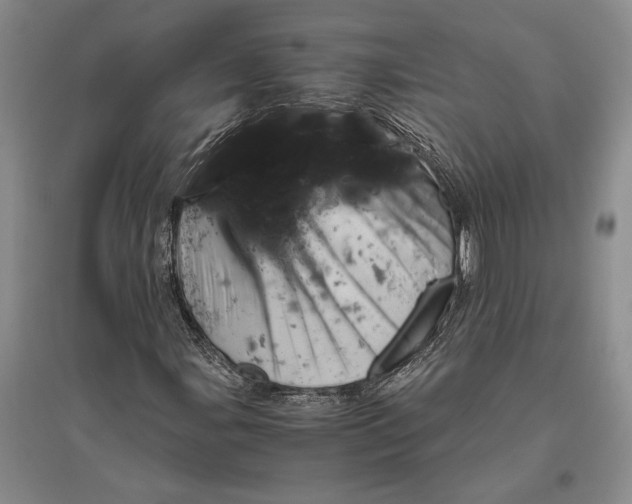 X0000096441107200802211203