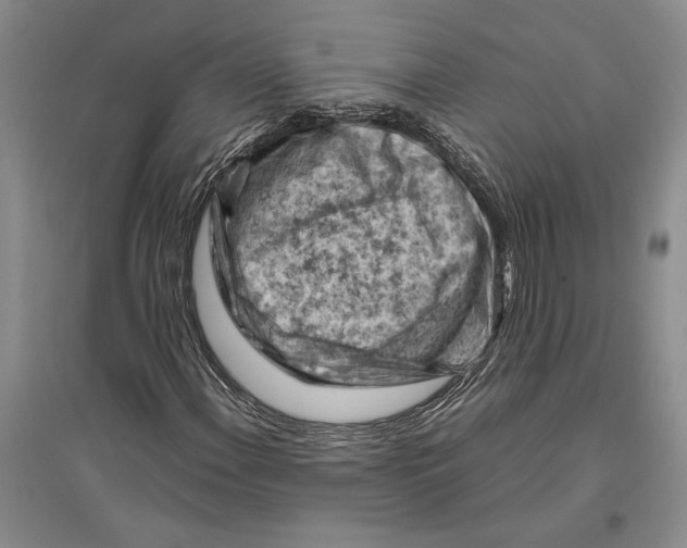 X0000096441108200802211203