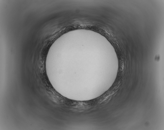 X0000096441109200802211204