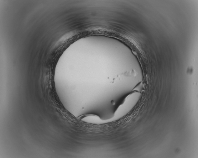 X0000096441111200802211204