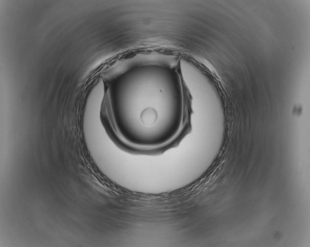 X0000096441112200802211204