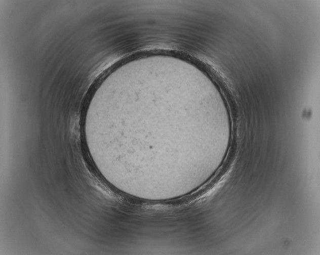 X0000096441113200802211204