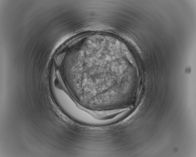 X0000096441114200802211204