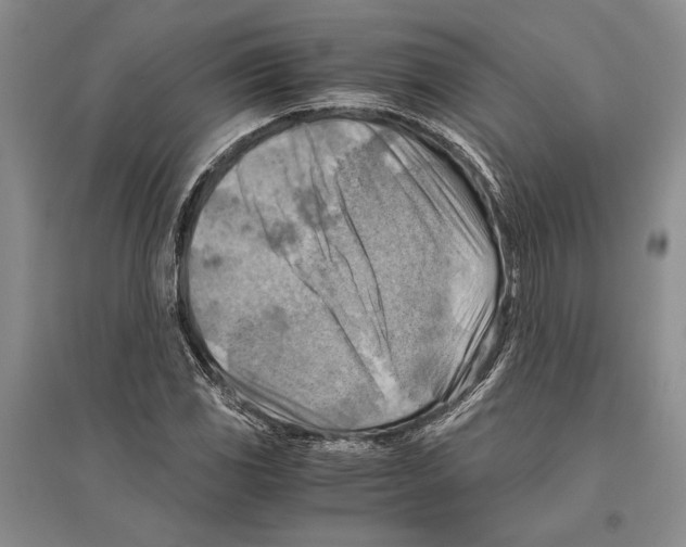 X0000096441117200802211204