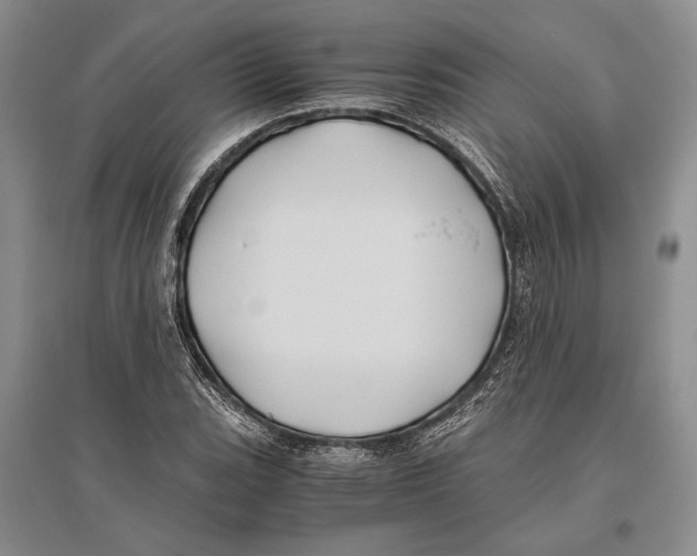 X0000096441119200802211204