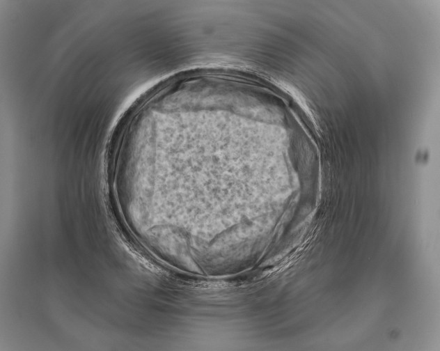 X0000096441120200802211204