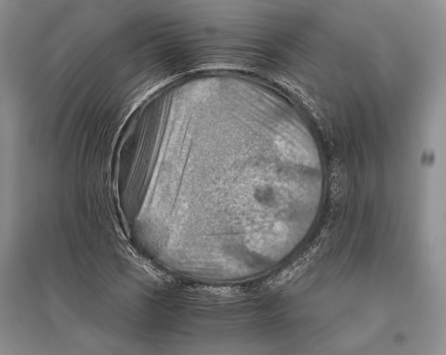 X0000096441121200802211204