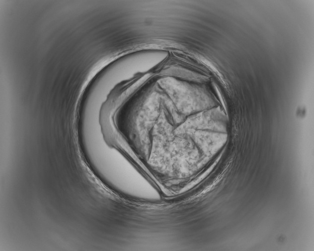 X0000096441122200802211204