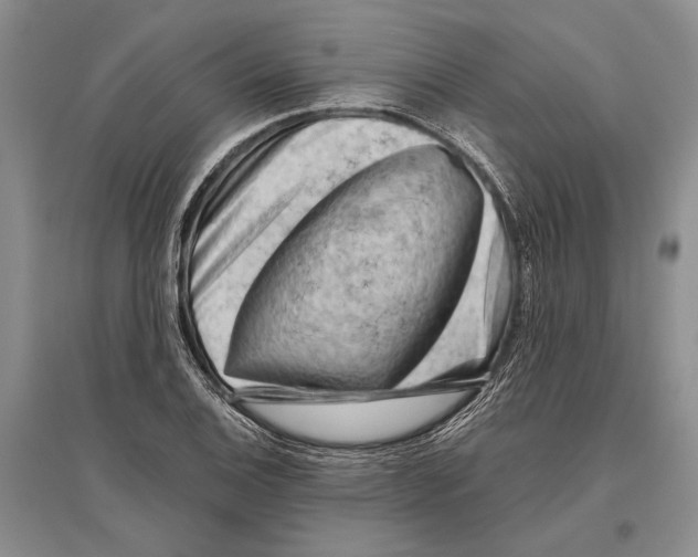 X0000096441124200802211204