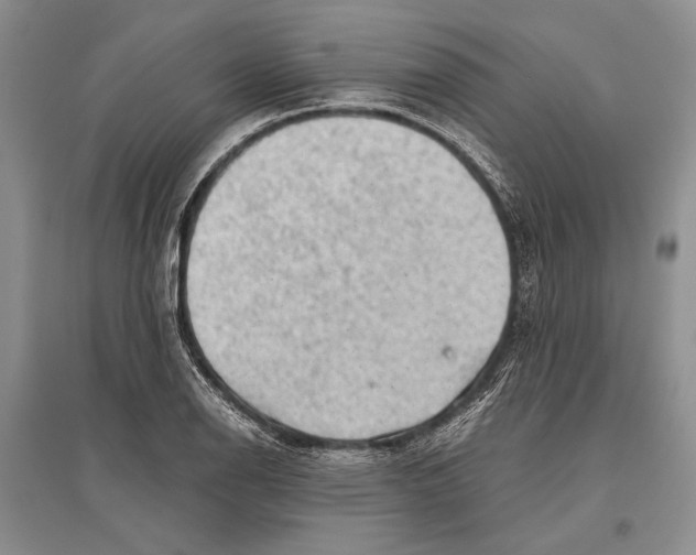 X0000096441126200802211204