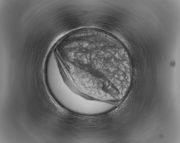 X0000096441127200802211204