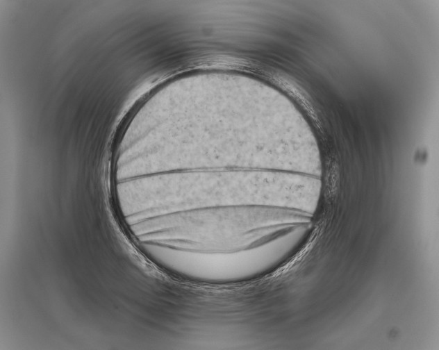 X0000096441130200802211204