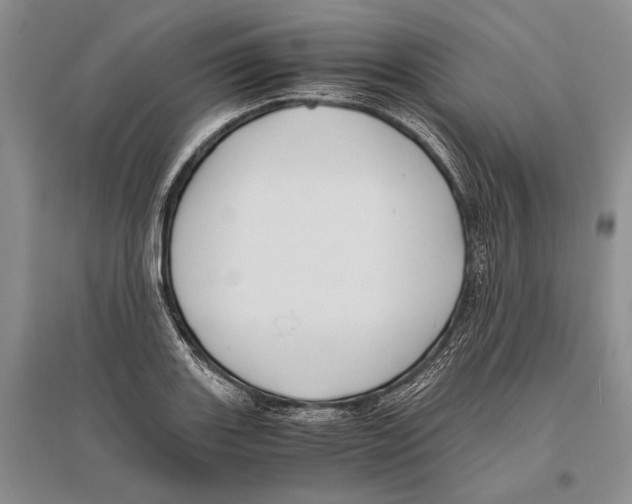 X0000096441131200802211204