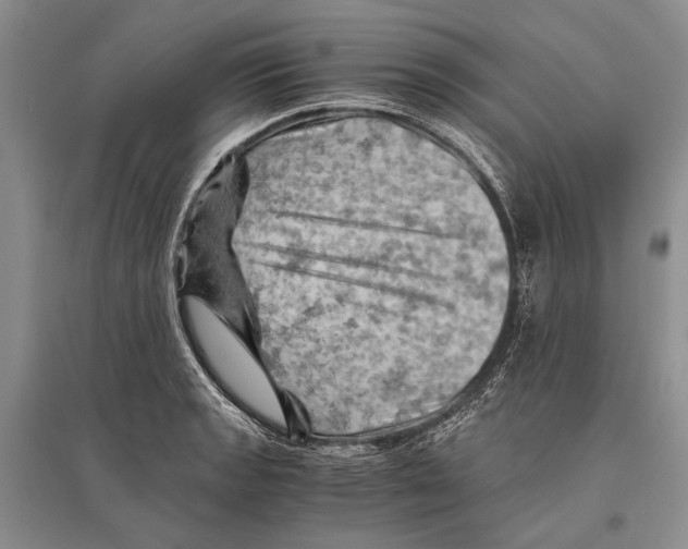 X0000096441133200802211204