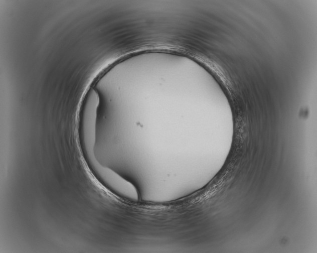 X0000096441135200802211204