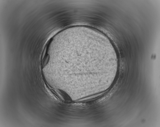 X0000096441137200802211204