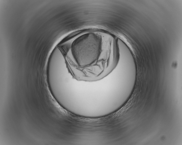 X0000096441140200802211204