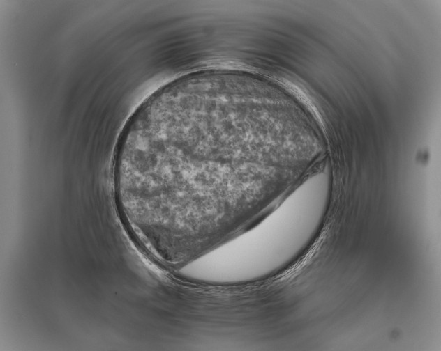 X0000096441141200802211204